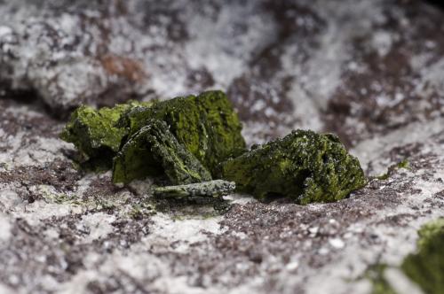 Vesignieite<br />Milpillas Mine, Cuitaca, Municipio Santa Cruz, Sonora, Mexico<br />FOV 1.5 cm<br /> (Author: Peter Megaw)