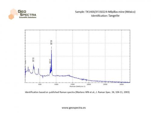 tangeite.jpg (Author: Cesar M. Salvan)