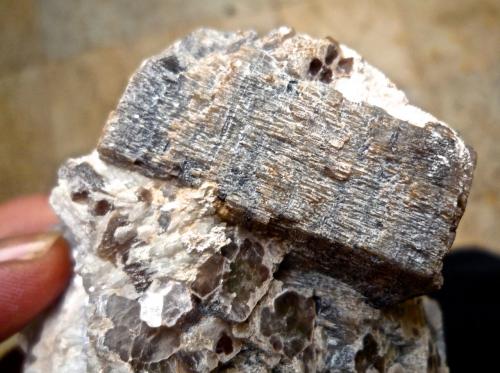 Lepidolita<br />Virgem da Lapa, Vale do Jequitinhonha, Minas Gerais, Brasil<br />Longitud del cristal de Lepidolita 5 cm<br /> (Autor: María Jesús M.)