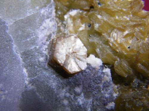 Fluorite with muscovite<br />Brandberg area, Erongo Region, Namibia<br />85x80x15mm<br /> (Author: Heimo Hellwig)