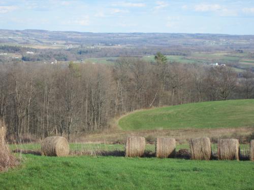 Farmland, much of it worked by the Amish, on the way up to the dolostone. (Author: vic rzonca)