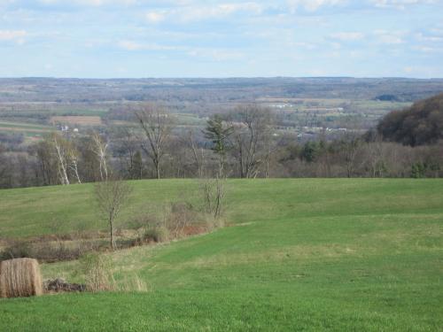 Looking south from nearly the hight of land on the way out of the town of Fonda. (Author: vic rzonca)