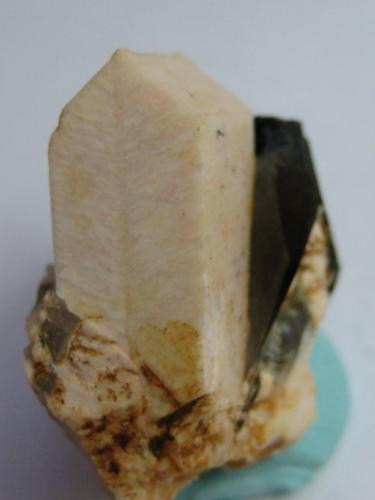 Microcline with Quartz (variety smoky quartz)<br />Pedrera Mas Sever, Massabè (Mas Ceber), Sils, Comarca La Selva, Gerona / Girona, Cataluña / Catalunya, España<br />6 cm<br /> (Author: marco campos-venuti)