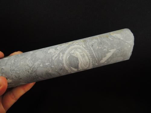 Mármol<br />Municipio Cadereyta de Montes, Queretaro, Mexico<br />22.1 x 4.7 centimetros<br /> (Autor: Ricardo Melendez)