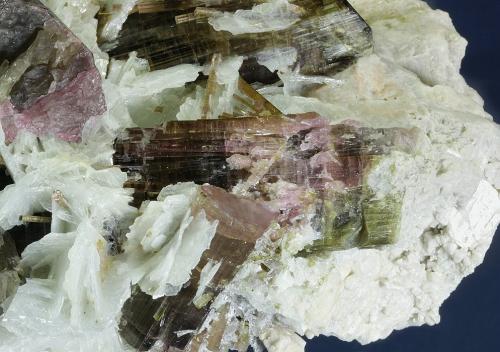 Elbaite with Beryl (variety morganite) and Mica (variety lepidolite) on Albite (variety cleavelandite)<br />Himalaya Mine, Gem Hill, Mesa Grande District, San Diego County, California, USA<br />175 x 93 x 85 mm<br /> (Author: GneissWare)