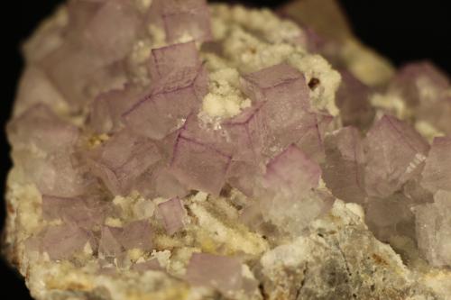 Fluorita<br />Veta El Filo, Santa Librada, Municipio Mapimí, Durango, México<br />14 x 10 x 7.7 centimetros<br /> (Autor: Ricardo Melendez)