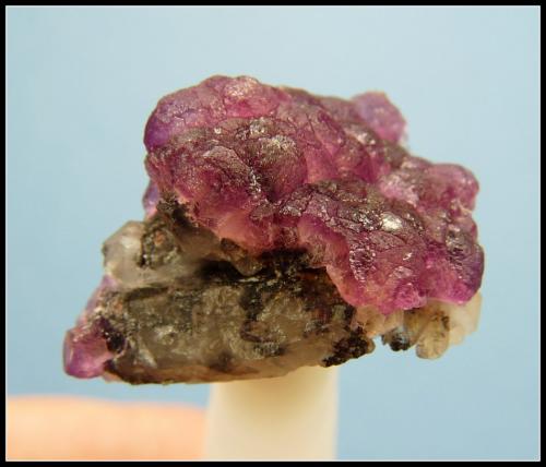 Fluorite and quartz<br />Riemvasmaak pegmatites, Orange river area, Kakamas, ZF Mgcawu District, Northern Cape Province, South Africa<br />24 x 17 x 14 mm<br /> (Author: Pierre Joubert)