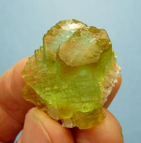 Fluorite<br />Riemvasmaak pegmatites, Orange river area, Kakamas, ZF Mgcawu District, Northern Cape Province, South Africa<br />30 x 27 x 18 mm<br /> (Author: Pierre Joubert)