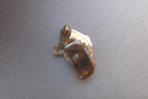 Smoky Quartz<br />Raccoon Gulch (Gulch locality), Ossipee, Carroll County, New Hampshire, USA<br />7 cm.<br /> (Author: vic rzonca)