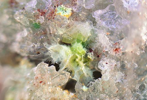 Agardita-(Y)<br />San Guillermo Mine, El Guijo, Comarca Los Pedroches, Córdoba, Andalusia, Spain<br />Campo de visión de 4 mm<br /> (Autor: Antonio Carmona)