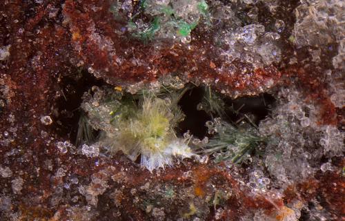 Agardita-(Y)<br />San Guillermo Mine, El Guijo, Comarca Los Pedroches, Córdoba, Andalusia, Spain<br />Campo de visión de 2 mm.<br /> (Autor: Antonio Carmona)