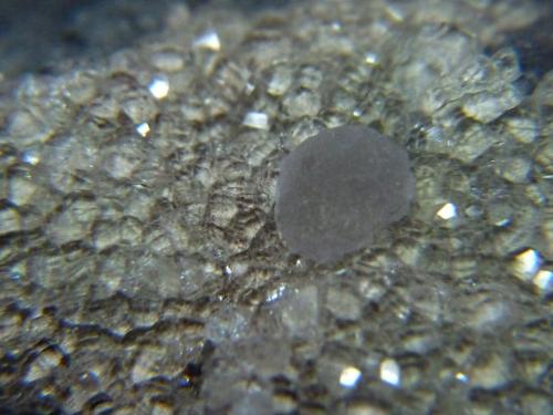 Fluorita y Analcima.<br />Canarias, España<br />45x30 mm.<br /> (Autor: Jesus Franquesa Baucells)
