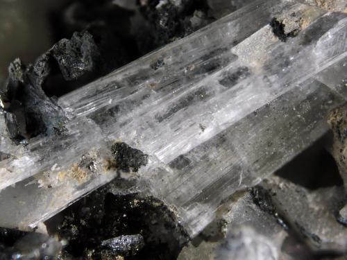 Olshanskyite<br />Mina Shijiangshan, Aldea Shijiangshan, Yinwu, Linxi, Ulanhad League, Región Autónoma Mongolia Interior, China<br />FOV 1.5 cm<br /> (Author: Cesar M. Salvan)