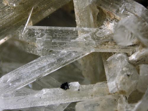 Olshanskyite<br />Mina Shijiangshan, Aldea Shijiangshan, Yinwu, Linxi, Ulanhad League, Región Autónoma Mongolia Interior, China<br />FOV 1.5 cm<br /> (Author: Cesar M. Salvan)