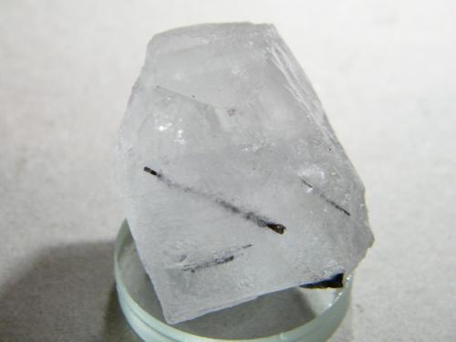 Fluorite with Tourmaline inclusions<br />Brandberg area, Erongo Region, Namibia<br />35x20x20mm<br /> (Author: Heimo Hellwig)