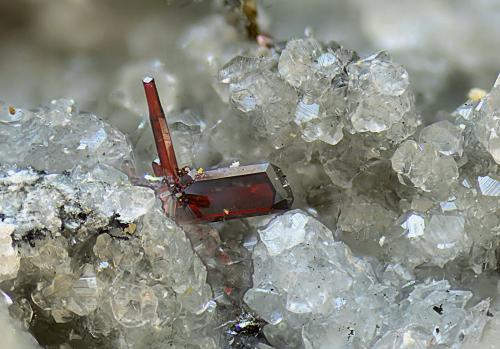 Proustita<br />Las Cruces Mine, Gerena-Guillena-Salteras, Comarca Sierra Norte, Seville, Andalusia, Spain<br />Campo de visión de 3 mm.<br /> (Autor: Antonio Carmona)