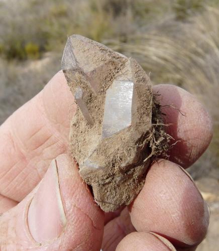 All the crystals shown are a portion from the last pocket. (Author: Pierre Joubert)