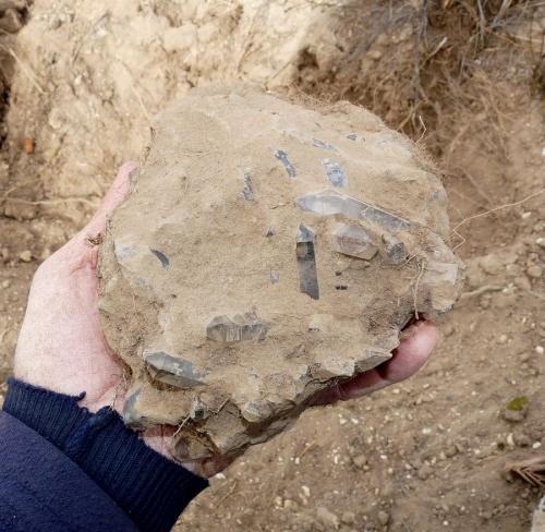 A nice sized specimen of Quartz on matrix. (Author: Pierre Joubert)