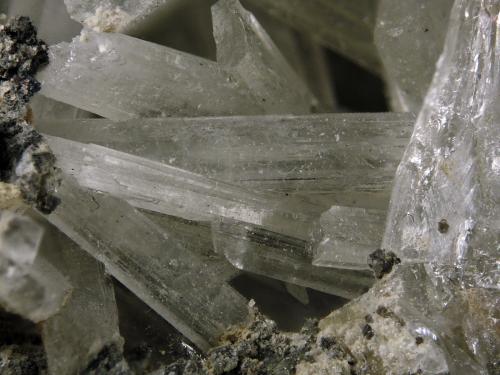 Olshanskyite<br />Mina Shijiangshan, Aldea Shijiangshan, Yinwu, Linxi, Ulanhad League, Región Autónoma Mongolia Interior, China<br />FOV 1.5 cm<br /> (Author: Cesar M. Salvan)