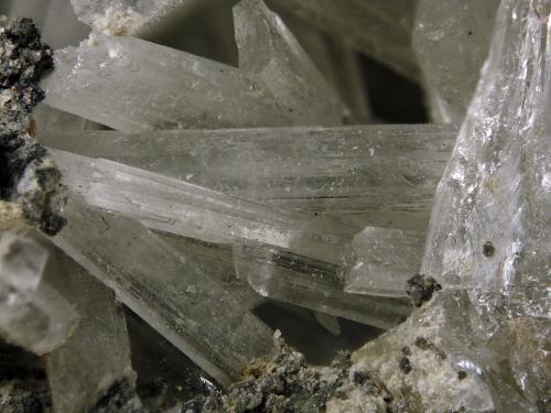 Olshanskyite<br />Mina Shijiangshan, Yinwu, Linxi, Ulanhad League, Región Autónoma Mongolia Interior, China<br />FOV 1.5 cm<br /> (Author: Cesar M. Salvan)