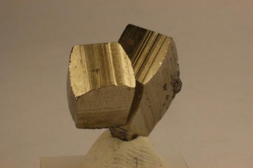 Pirita<br />Municipio Tatatila, Veracruz (Veracruz de Ignacio de la Llave), Mexico<br />1.6 x 1.5 x 1 cm<br /> (Autor: Ricardo Melendez)