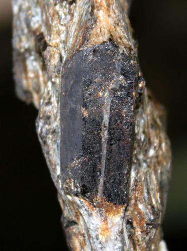 Estaurolita<br />La Dehesilla, Montejo de la Sierra, Comarca Sierra Norte, Comunidad de Madrid, España<br />68 x 45 x 21 mm.<br /> (Autor: José Luis Zamora)