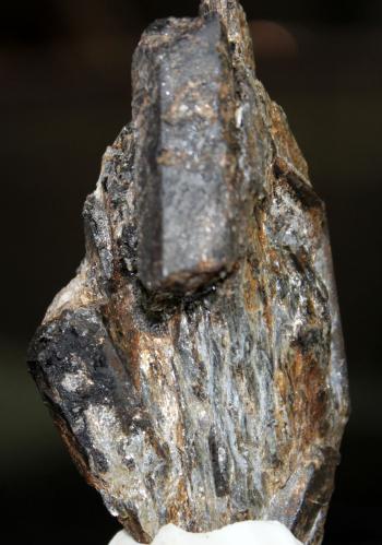 Estaurolita<br />La Dehesilla, Montejo de la Sierra, Comarca Sierra Norte, Comunidad de Madrid, España<br />68 x 45 x 21 mm<br /> (Autor: José Luis Zamora)