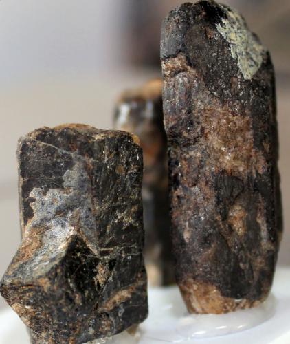 Estaurolita<br />La Dehesilla, Montejo de la Sierra, Comarca Sierra Norte, Comunidad de Madrid, España<br />42 x 21 x 15 mm.<br /> (Autor: José Luis Zamora)