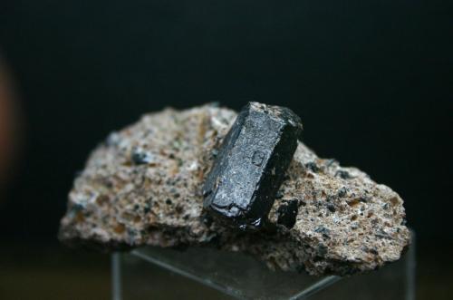 Augita<br />Plundrichovy Hůrky, Suletice, Región Ústí nad Labem, República Checa<br />68mm - 30mm - 29mm<br /> (Autor: Pedro Naranjo)