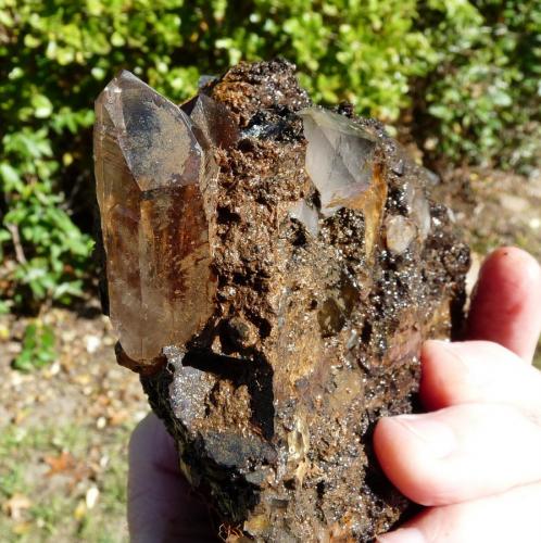 Quartz with goethite<br />Ceres, Warmbokkeveld Valley, Ceres, Valle Warmbokkeveld, Witzenberg, Cape Winelands, Western Cape Province, South Africa<br />165 x 130 x 67 mm<br /> (Author: Pierre Joubert)