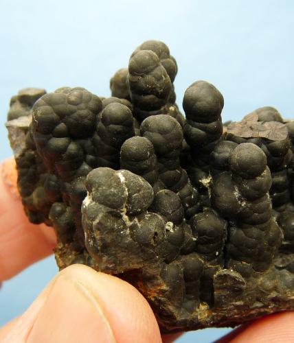 Manganese oxides<br />Zona Worcester, Cape Winelands, Provincia Occidental del Cabo, Sudáfrica<br />58 x 43 x 32 mm<br /> (Author: Pierre Joubert)