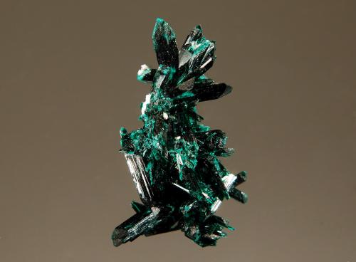 Brochantite<br />Milpillas Mine, Cuitaca, Municipio Santa Cruz, Sonora, Mexico<br />1.3 x 3.0 cm<br /> (Author: crosstimber)