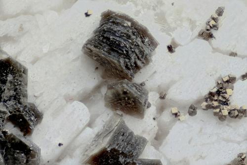 Ortoclasa, Moscovita, Pirita<br />Distrito Antonio Pereira, Ouro Preto, Minas Gerais, Brasil<br />Campo 2.5 mm<br /> (Autor: Adolfo Ruiz)