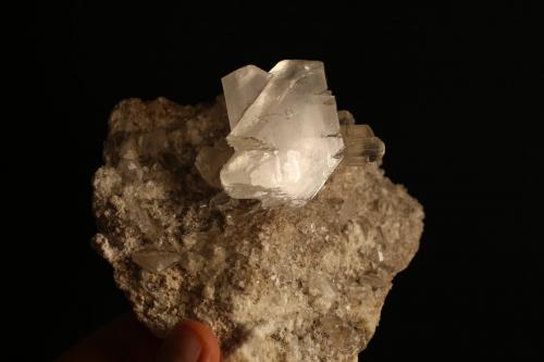 Yeso (variedad selenita)<br />Mina Tres Hermanos, Municipio Ocampo, Coahuila (Coahuila de Zaragoza), México<br />13.7 x 11 x 8 centimetros<br /> (Autor: Ricardo Melendez)