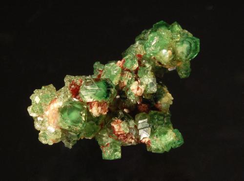 Grossular<br />Jeffrey Mine, Asbestos, Les Sources RCM, Estrie, Québec, Canada<br />1.5 x 2.0 cm<br /> (Author: Michael Shaw)