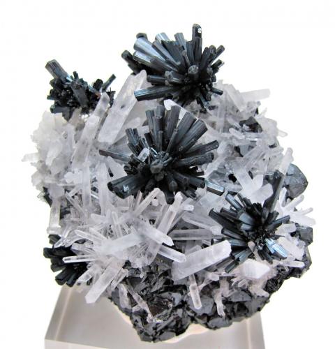 Stibnite, quartz, sphalerite<br />Mina Alimon (Mina Animon), Distrito minero Huaron, Distrito Huayllay, Provincia Pasco, Departamento Pasco, Perú<br />67 mm x 62 mm<br /> (Author: Carles Millan)