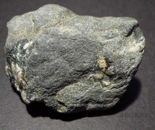 Andalusite var. chiastolite<br />Lancaster, Worcester County, Massachusetts, USA<br />7cm<br /> (Author: NellsRocks)