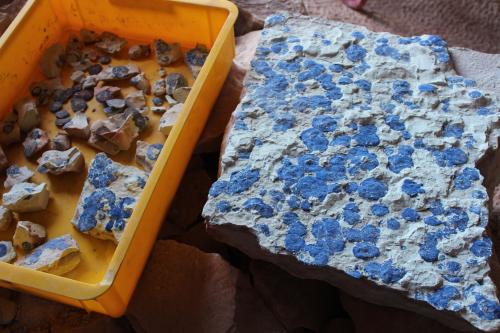 Azurite<br />Malbunka copper Mine, Western Aranda, Ltalaltuma, Australia<br /><br /> (Author: crocoite)