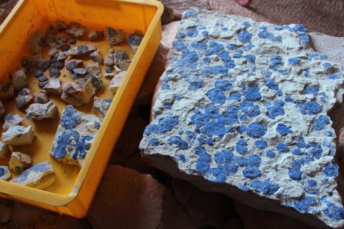 Azurite<br />Malbunka copper Mine, Western Aranda, Ltalaltuma, Australia<br /><br /> (Author: crocoite)