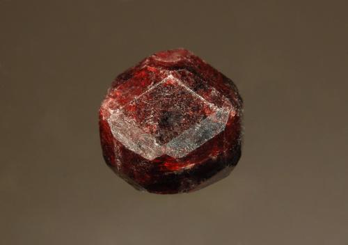 Almandine<br />Garnet Ledge, Wrangell, Isla Wrangell, Wrangell-Petersburg, Alaska, USA<br />1.0 x 1.0 cm<br /> (Author: crosstimber)