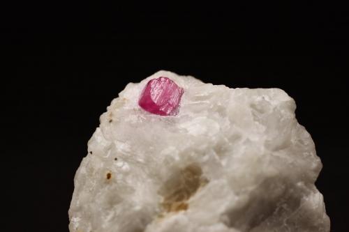 Corindón (variedad rubi)<br />Nagar, Hunza Valley, Nagar District, Gilgit-Baltistan (Northern Areas), Pakistan<br />3.3 x 3.3 x 1.6 centimetros<br /> (Autor: Ricardo Melendez)