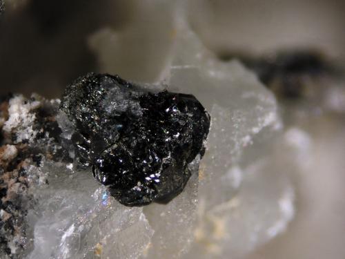 Hulsite<br />Shijiangshan Mine, Shijiangshan village, Yinwu, Linxi, Ulanhad League, Inner Mongolia Autonomous Region, China<br />FOV 2.5 mm<br /> (Author: Cesar M. Salvan)