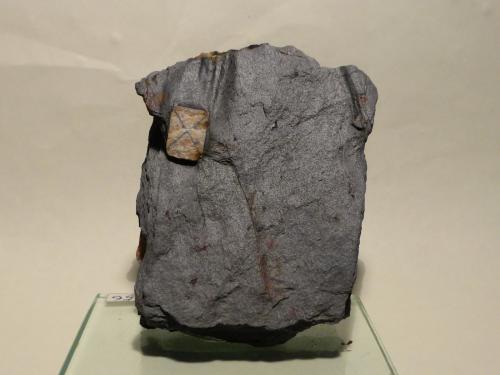 Andalucita (variedad quiastolita)<br />Cerro del Castillo de Mirabel, Mirabel, Mancomunidad Riberos del Tajo, Cáceres, Extremadura, España<br />7,5x5,5 cm<br /> (Autor: Ander Ispizua Juan)