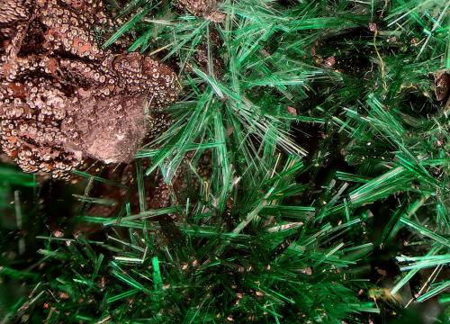 Brochantita<br />Mina La Estrella, Barranco del Jaroso, Sierra Almagrera, Cuevas del Almanzora, Comarca Levante Almeriense, Almería, Andalucía, España<br />Campo de visión de 7 mm.<br /> (Autor: Antonio Carmona)