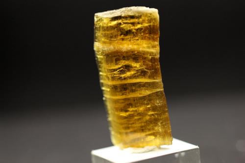 Clinozoisita<br />Khyber Pakhtunkhwa, Pakistan<br />3.2 x 1.6 x 0.6 centimetros<br /> (Autor: Ricardo Melendez)