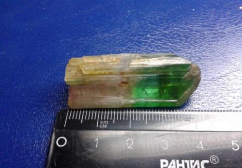 Elbaite (Tourmaline Group)<br />Russia<br /><br /> (Author: Jackman)