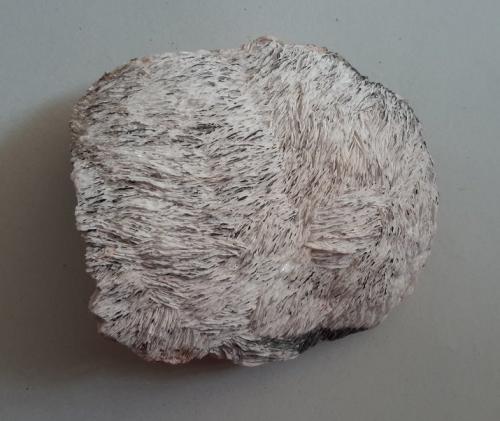 Barite<br />Holzen, Arnsberg, Sauerland, North Rhine-Westphalia/Nordrhein-Westfalen, Germany<br />13 cm<br /> (Author: h.abbasi)