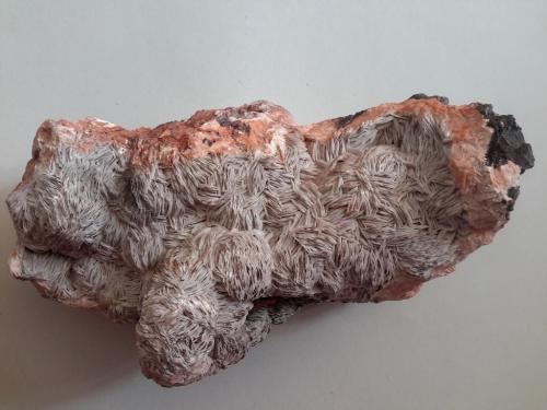 Barite<br />Holzen, Arnsberg, Sauerland, North Rhine-Westphalia/Nordrhein-Westfalen, Germany<br />20 cm<br /> (Author: h.abbasi)