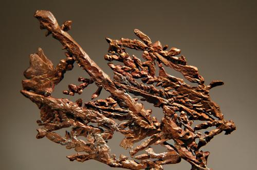 Copper<br />Mohawk Mine, Mohawk, Keweenaw County, Michigan, USA<br />9.4 x 15.8 cm, FOV~10.0 cm<br /> (Author: crosstimber)