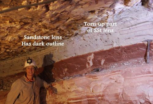 Photo 1. Note that a 1.5 metre chunk of a thin sandstone lens just below the hanging wall has been picked by a thrust fault and dragged along to be placed over the right hand continuation of the lens. And mining maiden takes a well-earned break. (Author: crocoite)